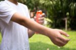 8 repelentes caseiros e naturais contra mosquitos
