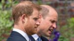Em momento raro, príncipes William e Harry marcarão presença em evento em homenagem a Diana