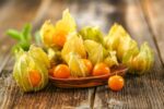 Physalis: 12 benefícios e como consumir (com receitas)