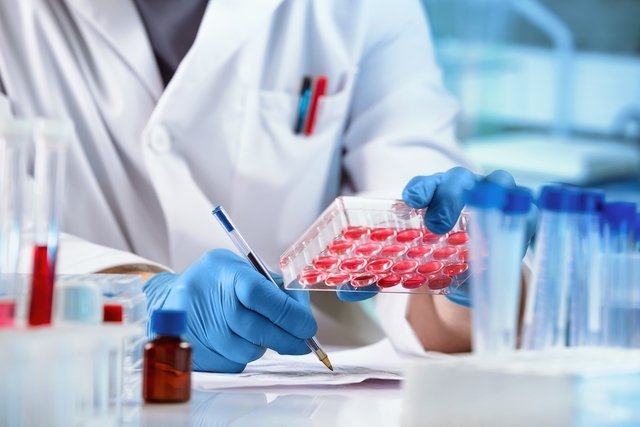 Teste ELISA: o que é, para que serve, como é feito (e resultados)