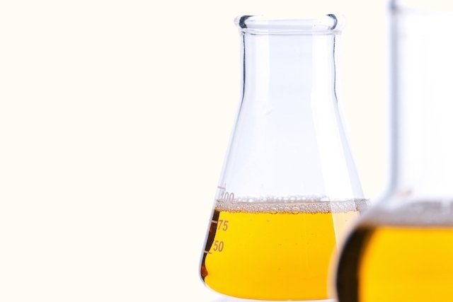 Urina de 24 horas: para que serve, como fazer e resultados