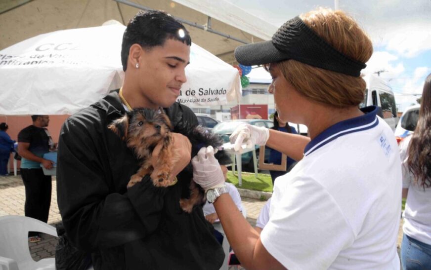 Saúde de Salvador convoca população a imunizar pets contra a raiva neste fim de semana – Secretaria de Comunicação