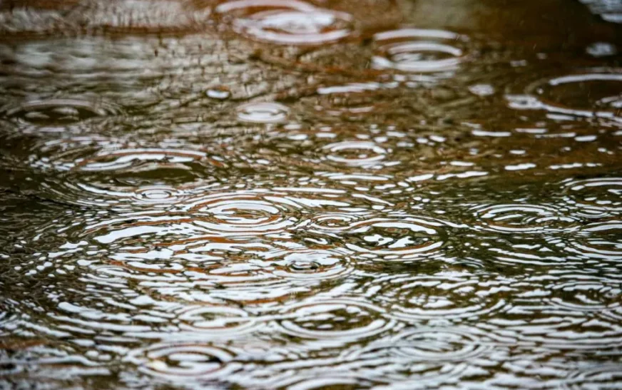 Mais de 130 cidades da Bahia entram em alerta para chuvas intensas e risco de alagamentos