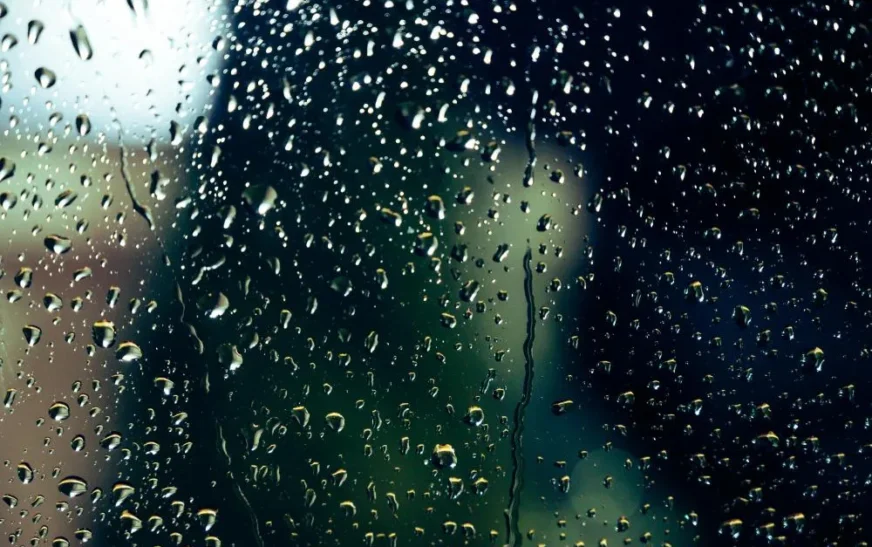 Portal Estado da Bahia