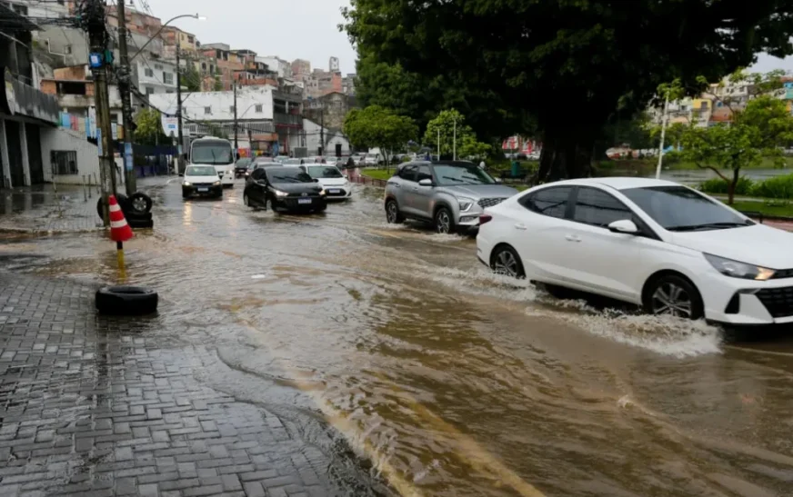 Portal Estado da Bahia