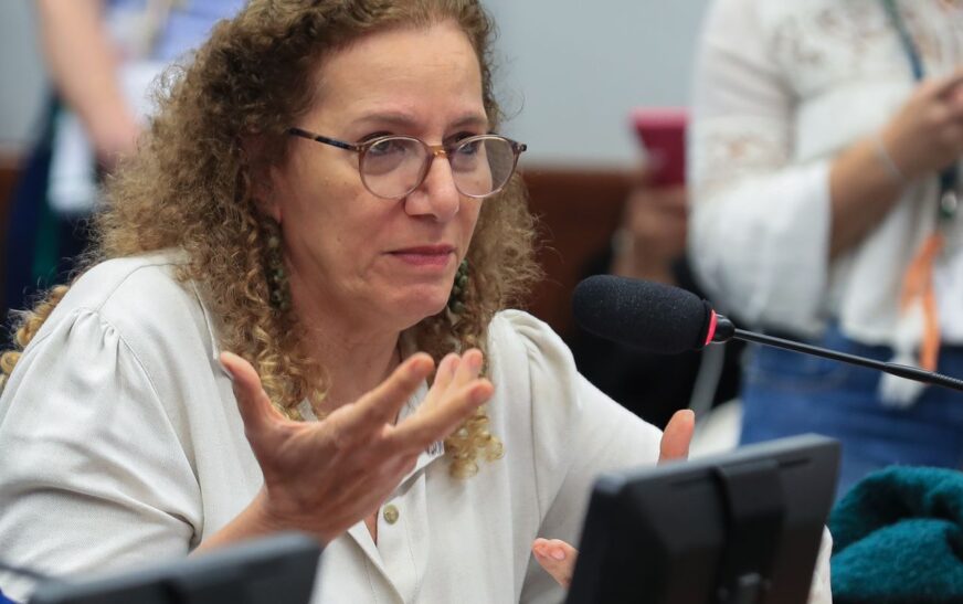 Parlamentares governistas vão aos EUA apresentar contraponto à direita