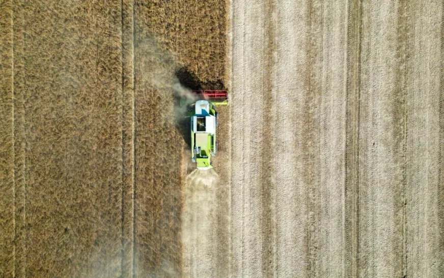 Boletim de Monitoramento Agrícola destaca condições favoráveis para a safra na maior parte do Brasil