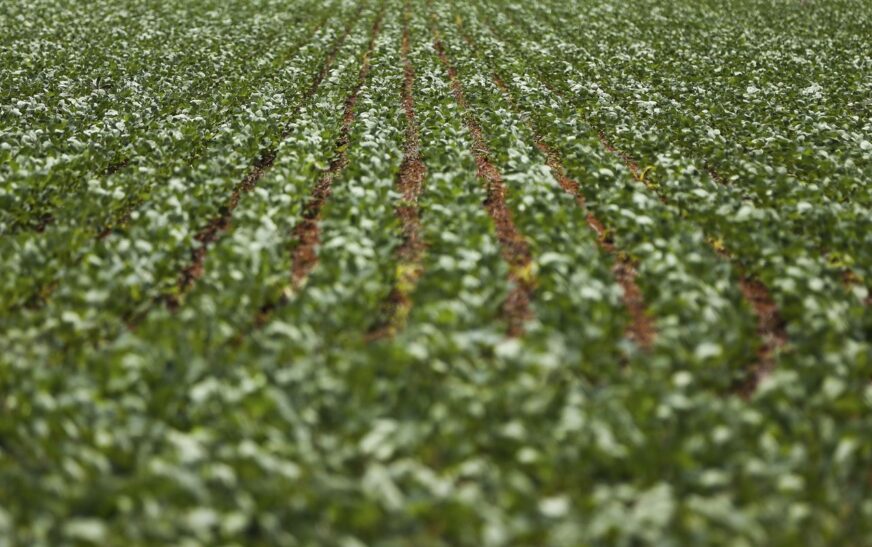 Entenda impasse entre bancada do agro e governo sobre dívidas rurais
